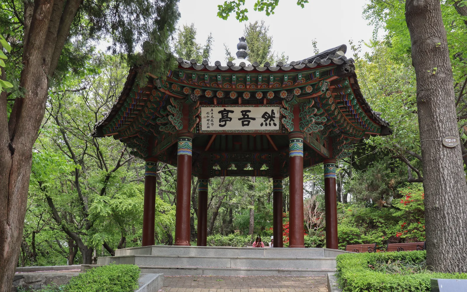 Traditional painted pavilion surrounded by trees in Jayu Park
