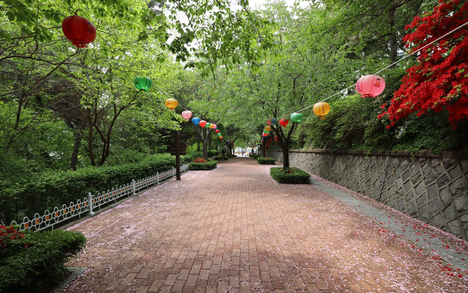 Brick path under green trees and colored lanterns in Jayu Park, Incheon