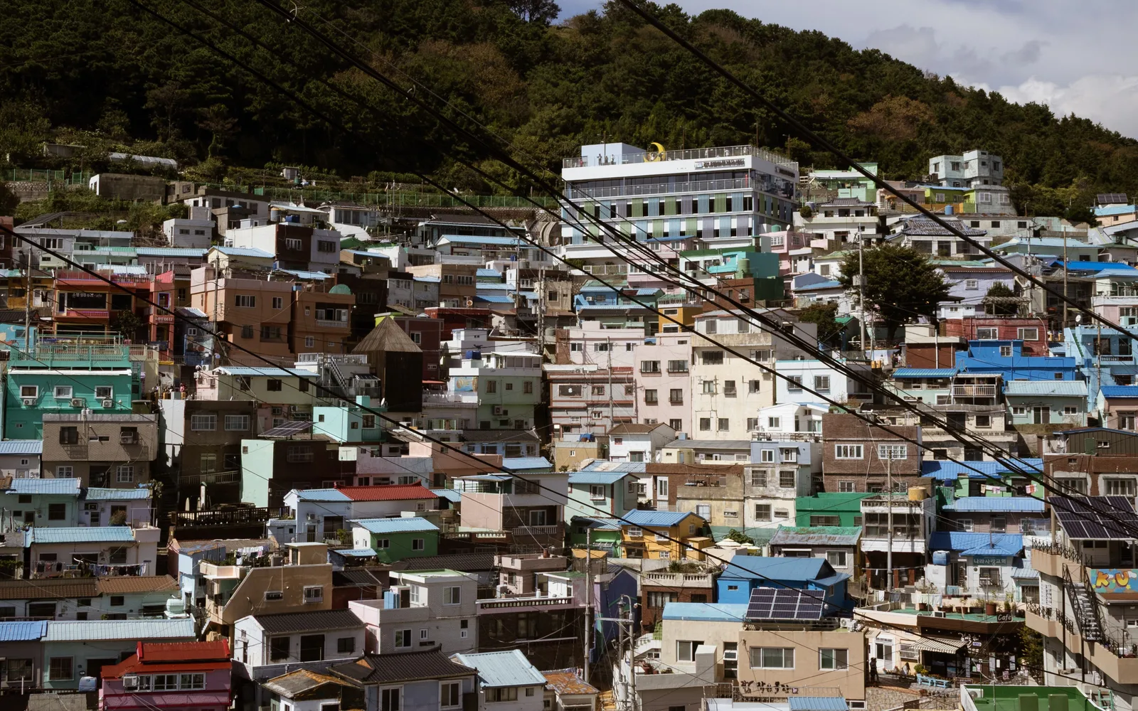 Colorful homes climbing the hillside in Gamcheon Culture Village, Busan